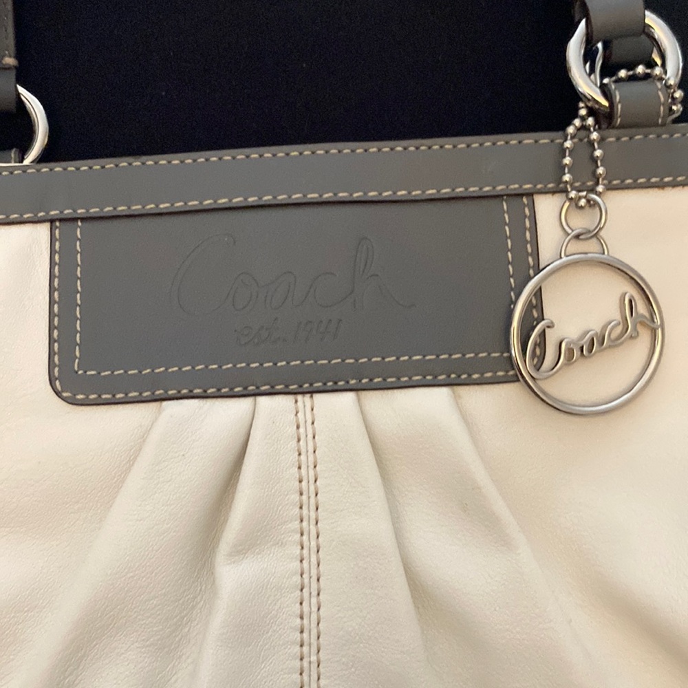 Coach East/West Leather Pleated Gallery Tote